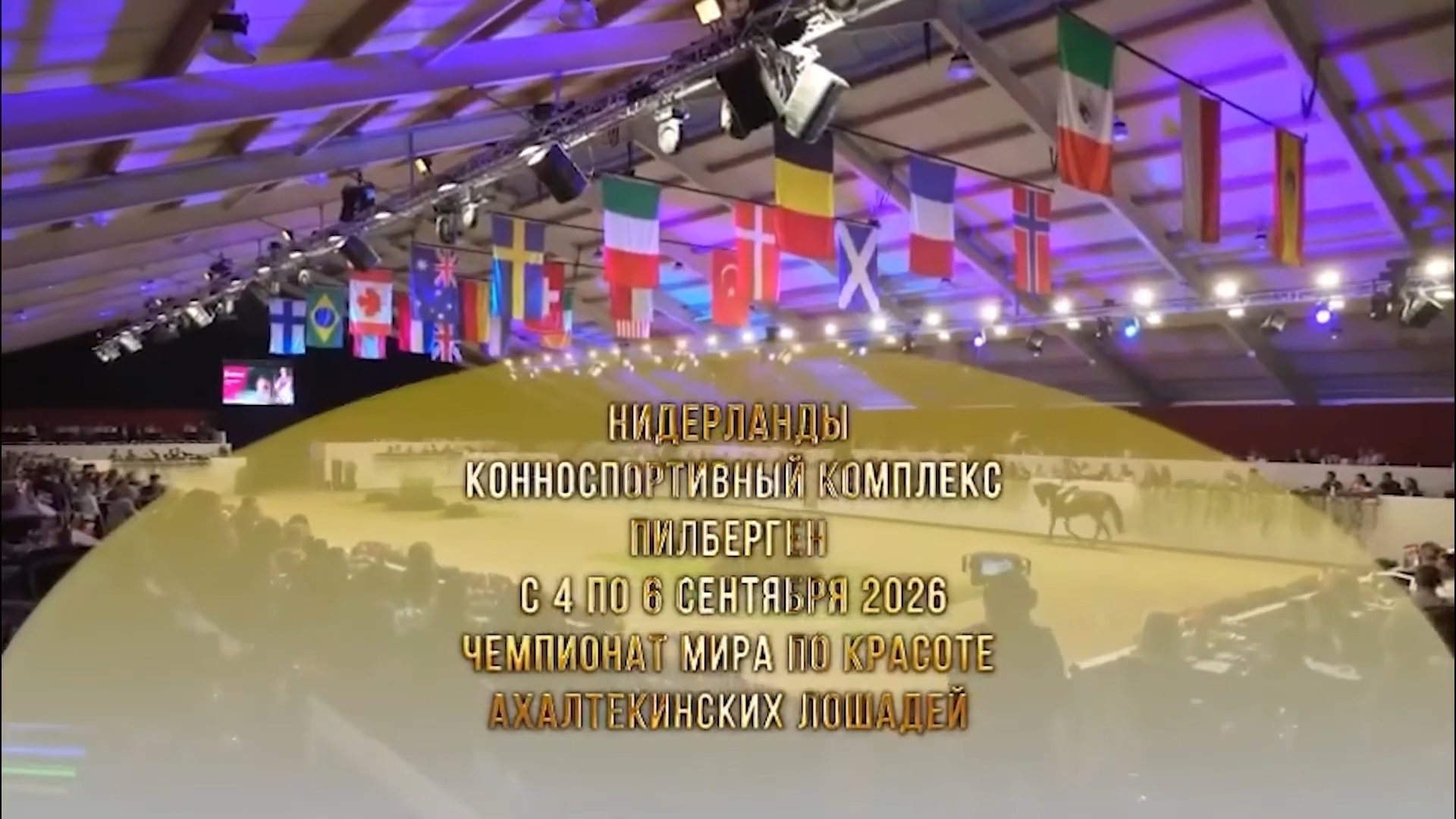 Horse and equestrian events to be held in the Kingdom of the Netherlands